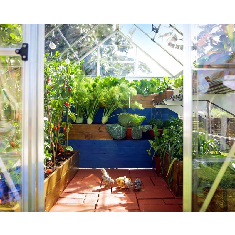 Harmony 6 ft. x 8 ft. Greenhouse Kit - Silver Structure & Clear Panels - Rathwood Store