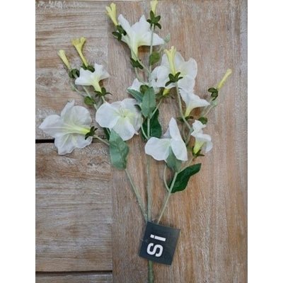 Morning Glory Spray Cream 24" - Rathwood Store