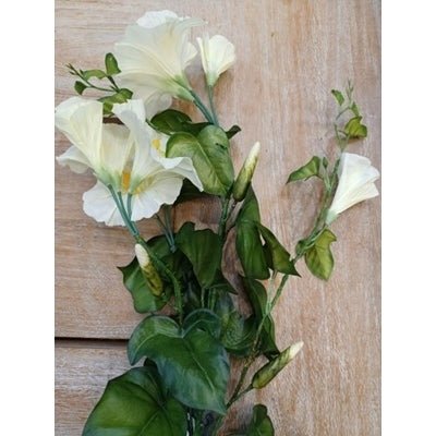 Morning Glory Spray Cream 31” - Rathwood Store