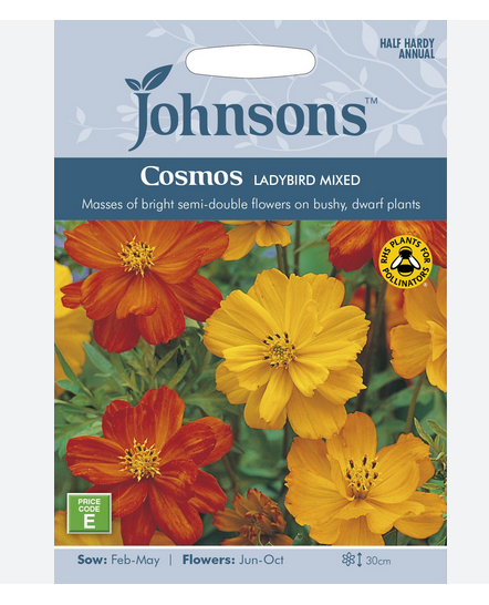 Cosmos - Ladybird Mixed