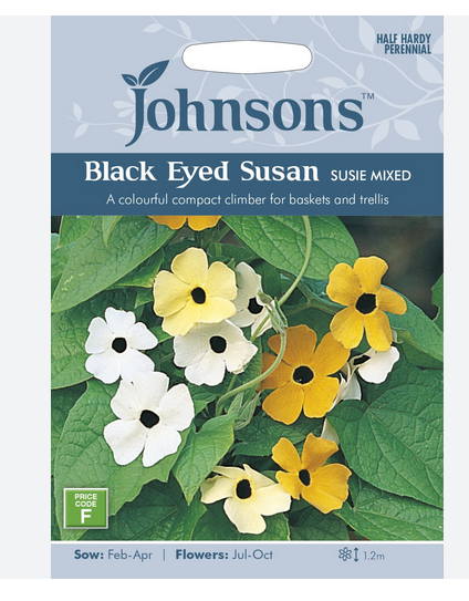 Black Eyed Susan - Susie Mix