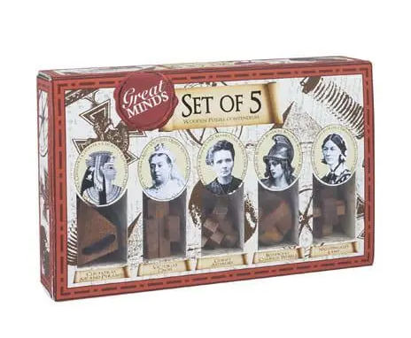Wood Puzzles  - Set of 5