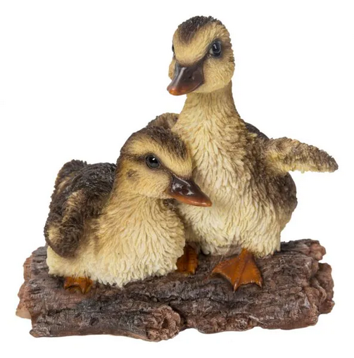 VA Playful Ducklings