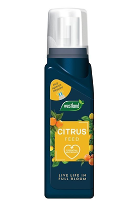 Citrus Feed Concentrate 200ml