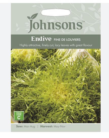 Endive - Fine de Louviers