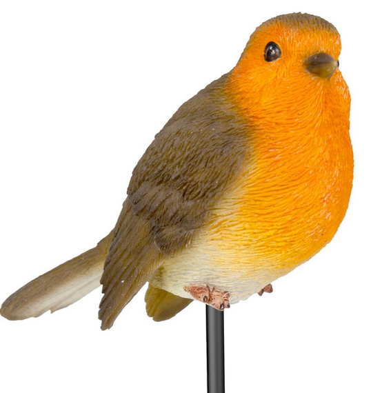 VA Robin Plant Pal