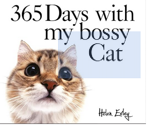 365 Days With My My Bossy Cat