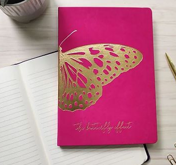 Desk Journal Butterfly Effect