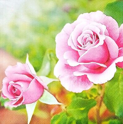 Paper Napkins - Roses in The Garden