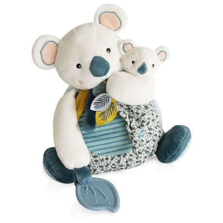 Koala activities