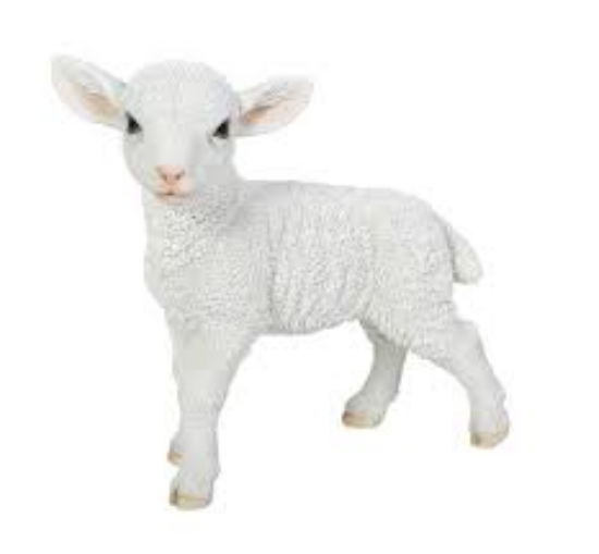 VA RL Standing Lamb