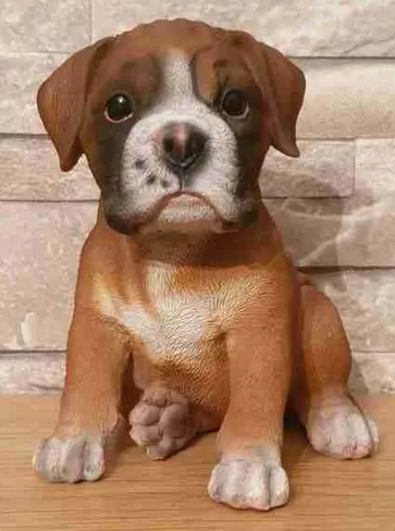Pet Pals - Boxer