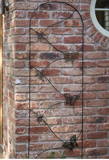 Bee & Butterfly Trellis 1.8m