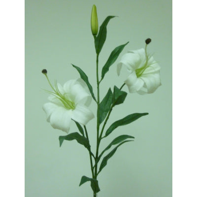 85cm Lily Cream