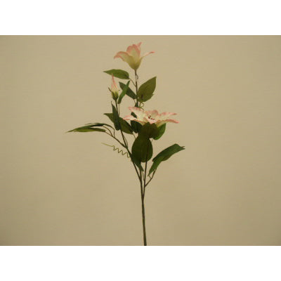 Clematis spray lt pink