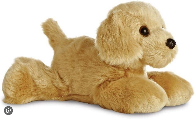 MF Golden Retriever