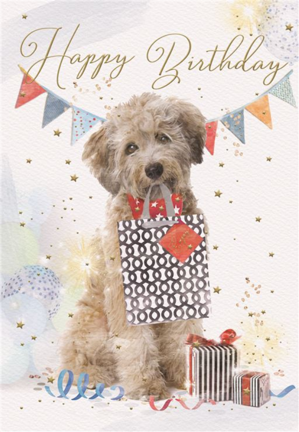 Birthday - Dog w/Gift