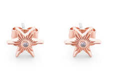 Compass Star Stud Earrings Rose Gold