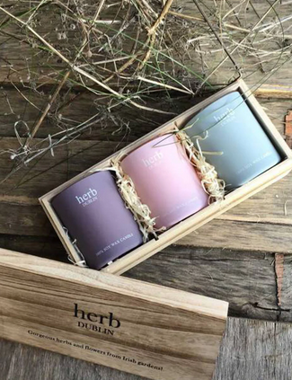 Trio Candle Set - Pastel