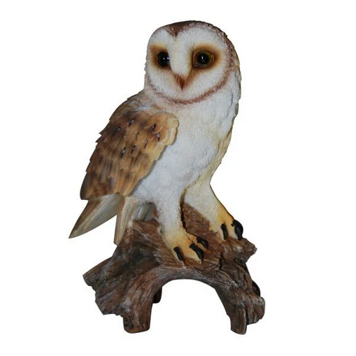 VA RL Barn Owl