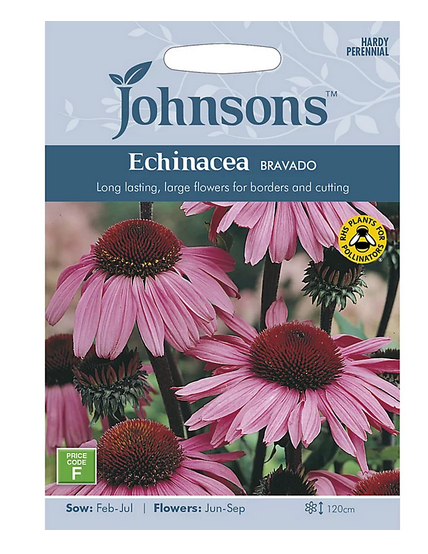 Echinacea - Bravado