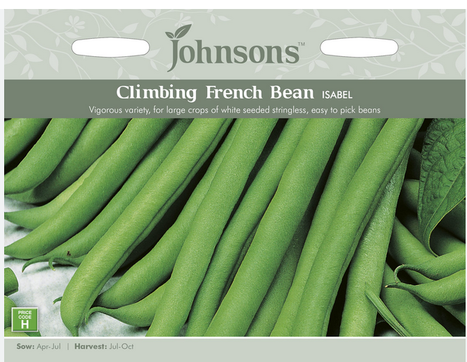 Climbing French Bean - Isabel