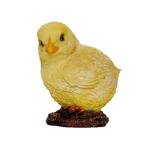 VA Small Chick
