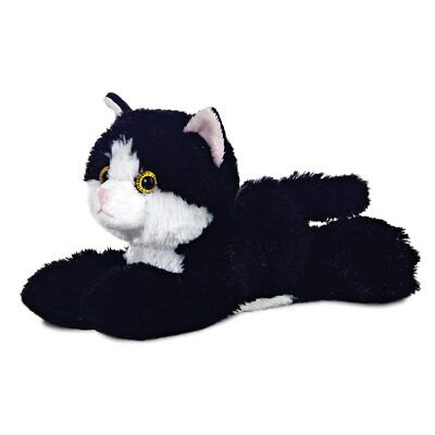 MF Maynard Cat