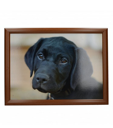 Black Labrador Lap Tray