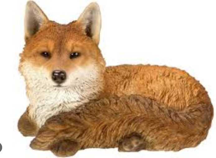 VA RL Resting Fox
