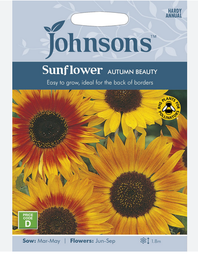 Sunflower - Autumn Beauty