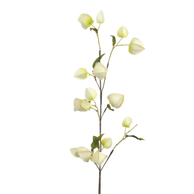 Lantern Spray Cream 105cm