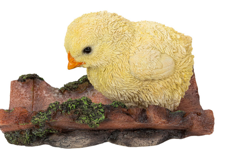 VA Pecking Chick