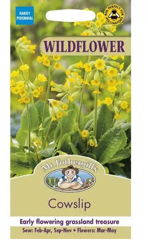Wildflowers - Cowslip