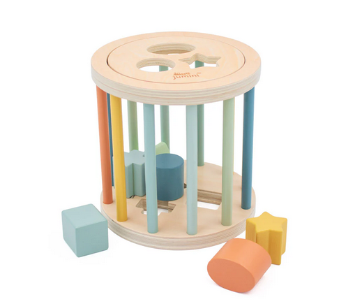 Retro Cage Shape Sorter