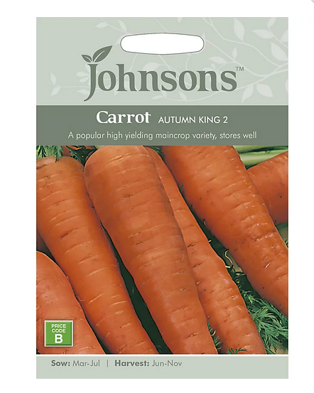 Carrot - Autumn King 2