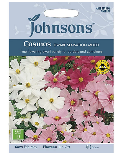 Cosmos - Dwarf Sensation