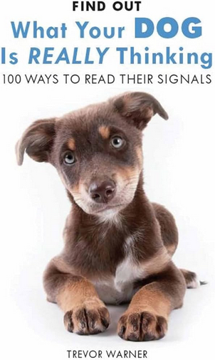 What Your Dog is Really Thinking