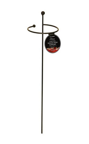 Cottage Garden Single Stem- Large