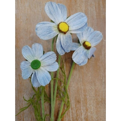 Velvet Cosmos Spray Blue