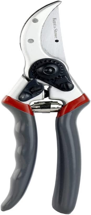 Surecut Bypass Secateurs