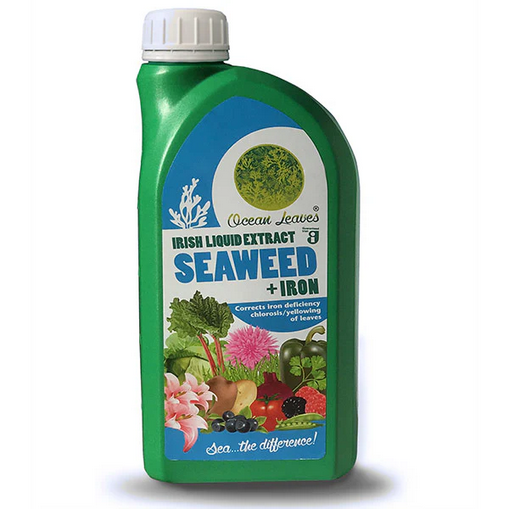 Liquid Seaweed & Iron 1Ltr