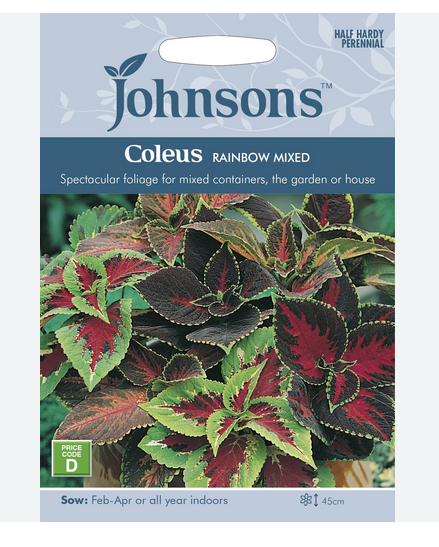 Coleus - Rainbow Mixed