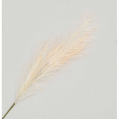 Reed Grass Spray Cream