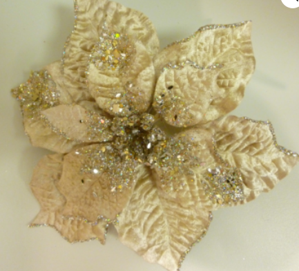 Velvet Poinsettia Clip - Champagne 26cm