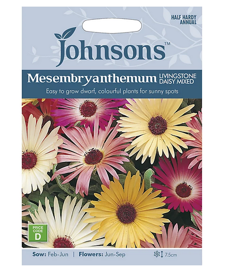Mesembryanthemum - Livings