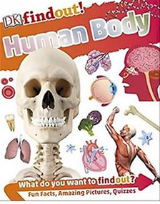 Dkfindout - Human Body