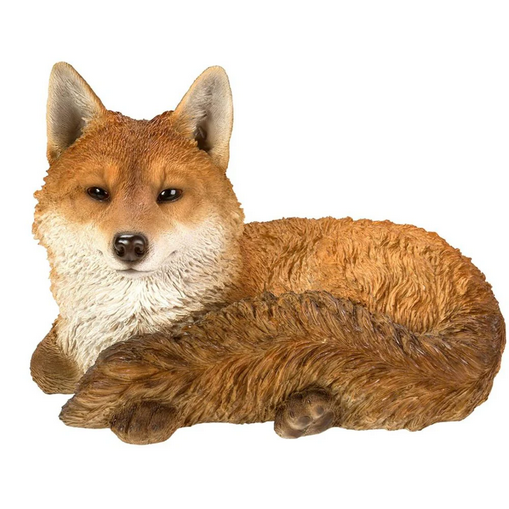 VA RL Resting Fox
