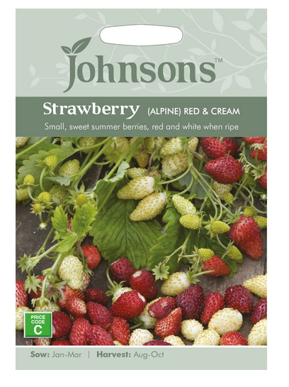 Strawberry - Alpine Red & Cream
