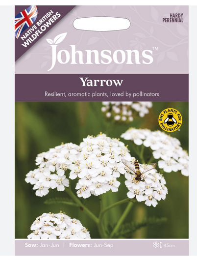 Wildflowers - Yarrow